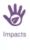 Icon-impacts.png
